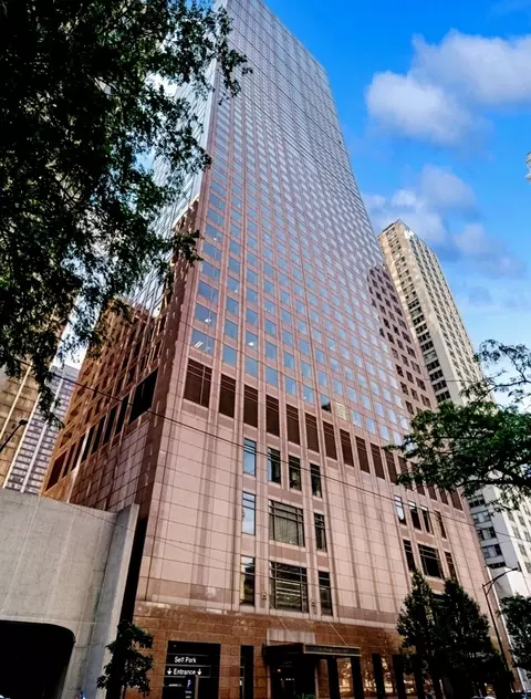 161 E Chicago Ave #54B, Chicago, IL 60611