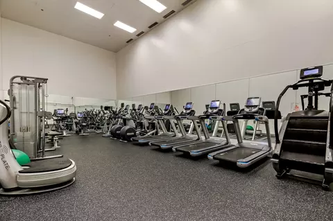 161 E Chicago Ave #54B, Chicago, IL 60611 photo 30