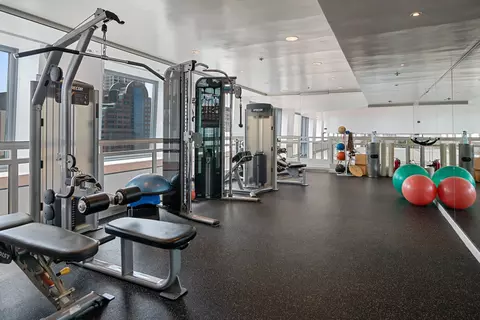 161 E Chicago Ave #54B, Chicago, IL 60611 photo 29