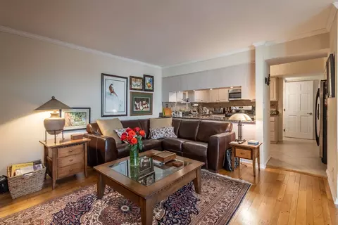 Living - 1 Auburn On Asbury, Rolling Meadows, IL 60008 photo 7 of 7