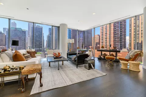 Living - 4 Elm St #6S, Chicago, IL 60611 photo 3 of 8