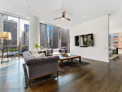 Living - 4 Elm St #6S, Chicago, IL 60611 photo 7 of 8