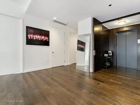 Entry Way - 4 Elm St #6S, Chicago, IL 60611 photo 2 of 2