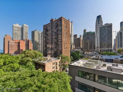 View/Area - 4 Elm St #6S, Chicago, IL 60611 photo 3 of 3