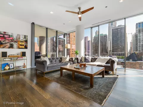 Living - 4 Elm St #6S, Chicago, IL 60611 photo 6 of 8