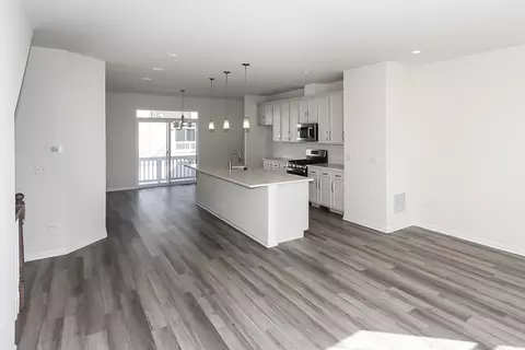 1123 Dock St, Des Plaines, IL 60018 photo 6