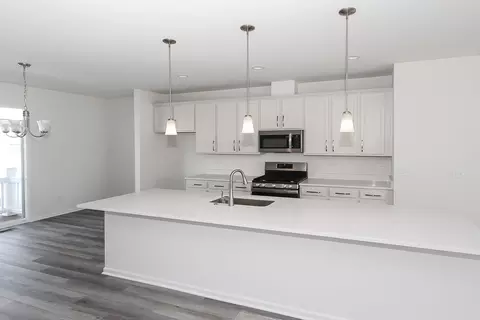 1123 Dock St, Des Plaines, IL 60018 photo 9