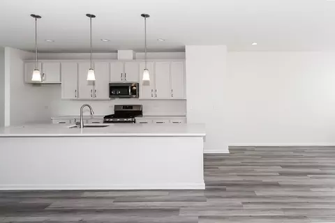 1123 Dock St, Des Plaines, IL 60018 photo 7