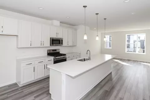 1123 Dock St, Des Plaines, IL 60018 photo 10