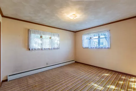 311 E Maple Ave, Manlius, IL 61338 photo 19