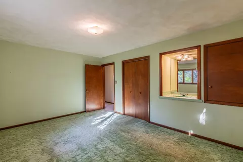 311 E Maple Ave, Manlius, IL 61338 photo 18