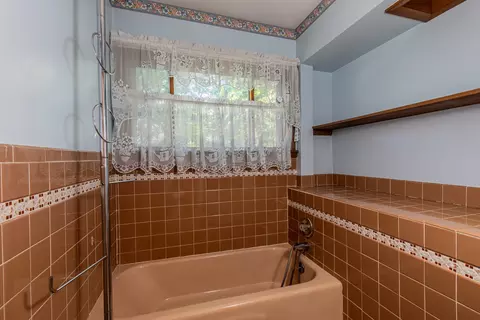 311 E Maple Ave, Manlius, IL 61338 photo 15