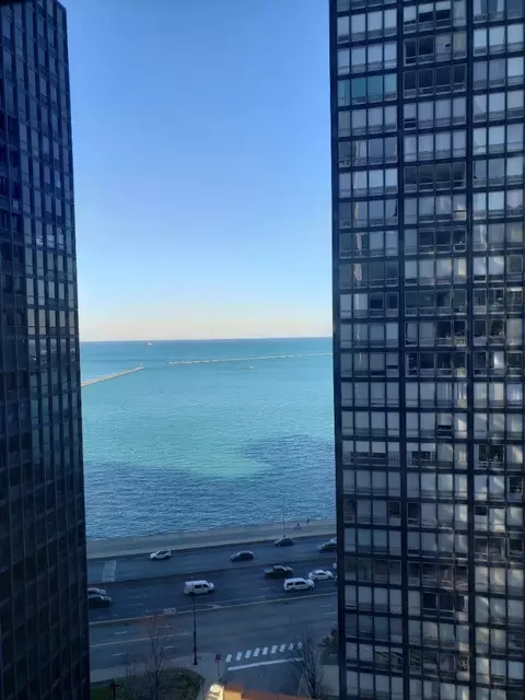 View/Area - 253 E Delaware Pl #17A, Chicago, IL 60611 photo 3 of 3