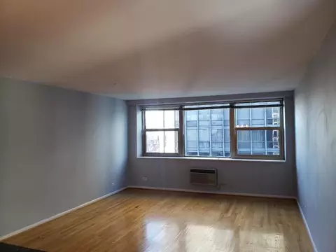 Living - 253 E Delaware Pl #17A, Chicago, IL 60611 photo 2 of 2