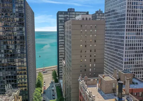 View/Area - 253 E Delaware Pl #17A, Chicago, IL 60611 photo 1 of 3