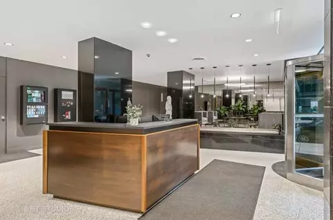 Other - 253 E Delaware Pl #17A, Chicago, IL 60611 photo 5 of 5