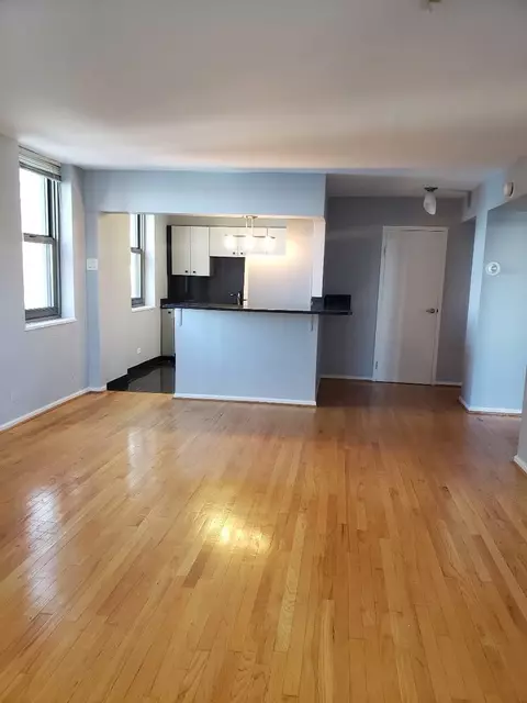 Living - 253 E Delaware Pl #17A, Chicago, IL 60611 photo 1 of 2