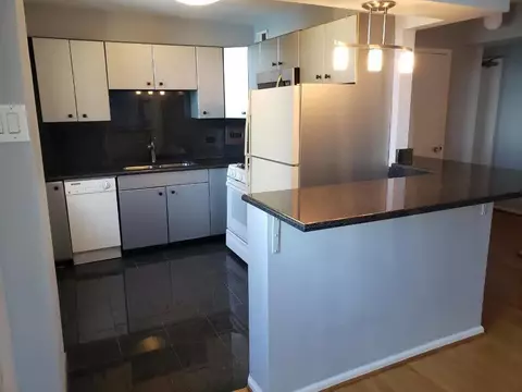 Kitchen - 253 E Delaware Pl #17A, Chicago, IL 60611 photo 1 of 1