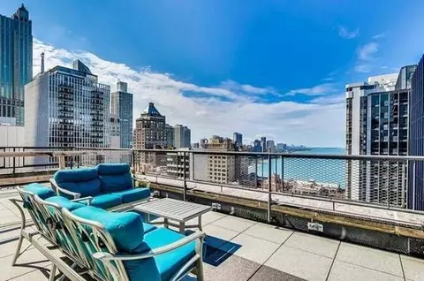 View/Area - 253 E Delaware Pl #17A, Chicago, IL 60611 photo 2 of 3