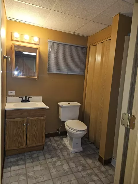 Bath - 26143 S Plum Tree Ln, Monee, IL 60449 photo 5 of 6