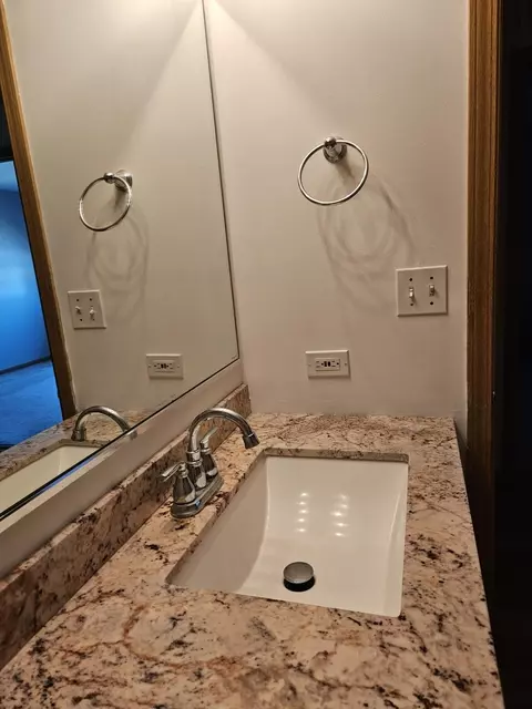 Bath - 26143 S Plum Tree Ln, Monee, IL 60449 photo 4 of 6