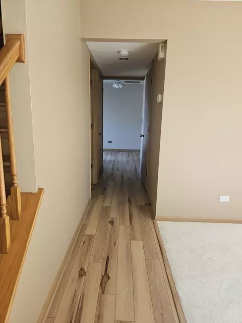 Entry Way - 26143 S Plum Tree Ln, Monee, IL 60449 photo 2 of 4