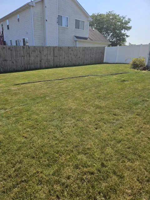 Exterior - 26143 S Plum Tree Ln, Monee, IL 60449 photo 7 of 8