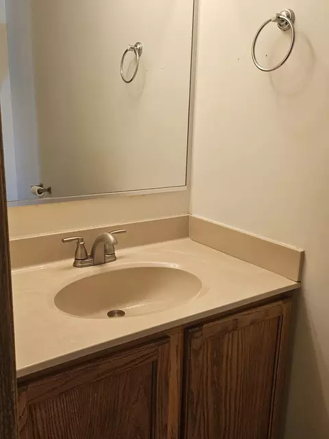 Bath - 26143 S Plum Tree Ln, Monee, IL 60449 photo 1 of 6