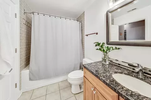 Bath - 811 W 15th Pl #314, Chicago, IL 60608 photo 2 of 2