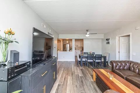 1349 E Washington St #210A, Des Plaines, IL 60016 photo 3