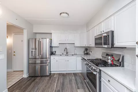 1349 E Washington St #210A, Des Plaines, IL 60016 photo 6
