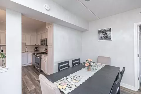 1349 E Washington St #210A, Des Plaines, IL 60016 photo 4