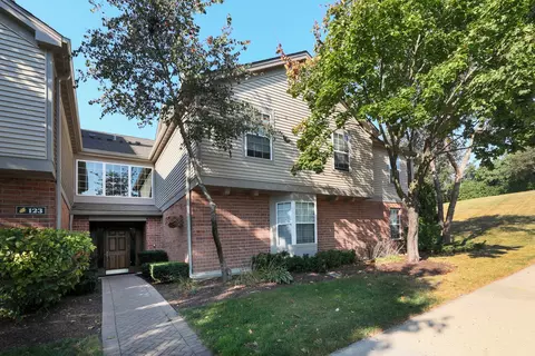 123 Willow Brook Ct #1, Schaumburg, IL 60195