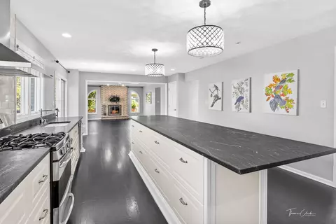 Kitchen - 3831 Celeste Ln, Naperville, IL 60564 photo 5 of 6