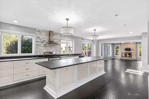 Kitchen - 3831 Celeste Ln, Naperville, IL 60564 photo 4 of 6