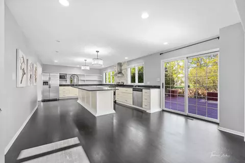 Kitchen - 3831 Celeste Ln, Naperville, IL 60564 photo 3 of 6