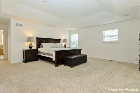 1161 Kingsmill Dr, Algonquin, IL 60102 photo 28
