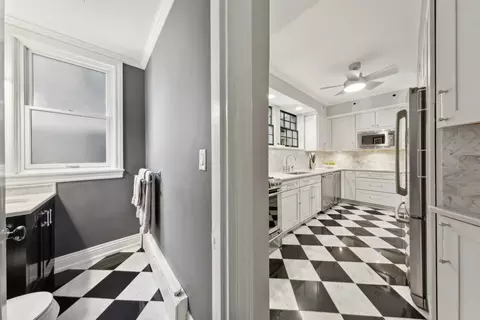 210 E Pearson St #3B, Chicago, IL 60611 photo 29