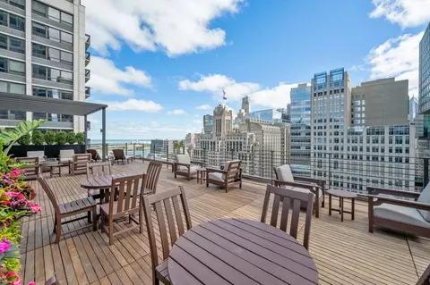 210 E Pearson St #3B, Chicago, IL 60611 photo 34