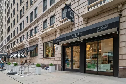 210 E Pearson St #3B, Chicago, IL 60611 photo 39