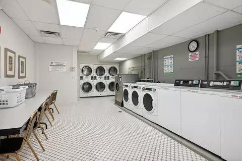 210 E Pearson St #3B, Chicago, IL 60611 photo 36