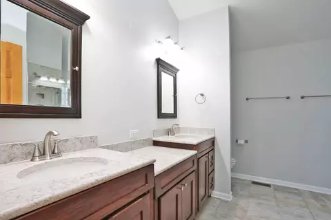 Bath - 214 Remington Dr, Bartlett, IL 60103 photo 2 of 4
