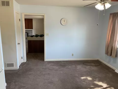 204 W 5th St, Minonk, IL 61760 photo 13
