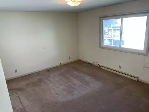 204 W 5th St, Minonk, IL 61760 photo 3