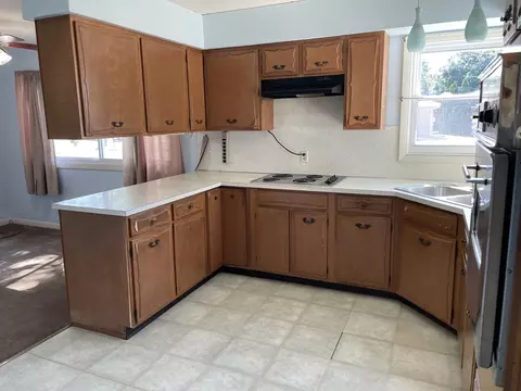 204 W 5th St, Minonk, IL 61760 photo 16