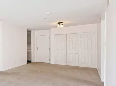 3265 Kirchoff Rd #115, Rolling Meadows, IL 60008 photo 7