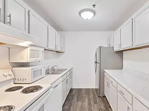 3265 Kirchoff Rd #115, Rolling Meadows, IL 60008 photo 6