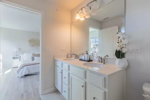 Bath - 3 Nicholas Dr, Des Plaines, IL 60016 photo 2 of 3