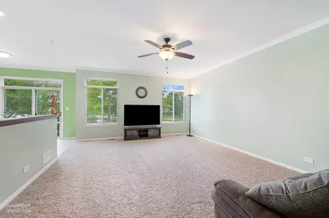 6717 Sahara Dr, Plainfield, IL 60586 photo 14
