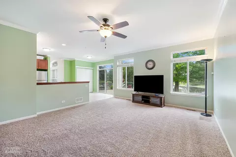 6717 Sahara Dr, Plainfield, IL 60586 photo 16